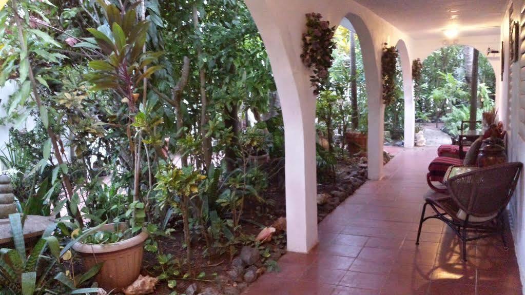 Coconut Palms Inn Rincon Exterior photo